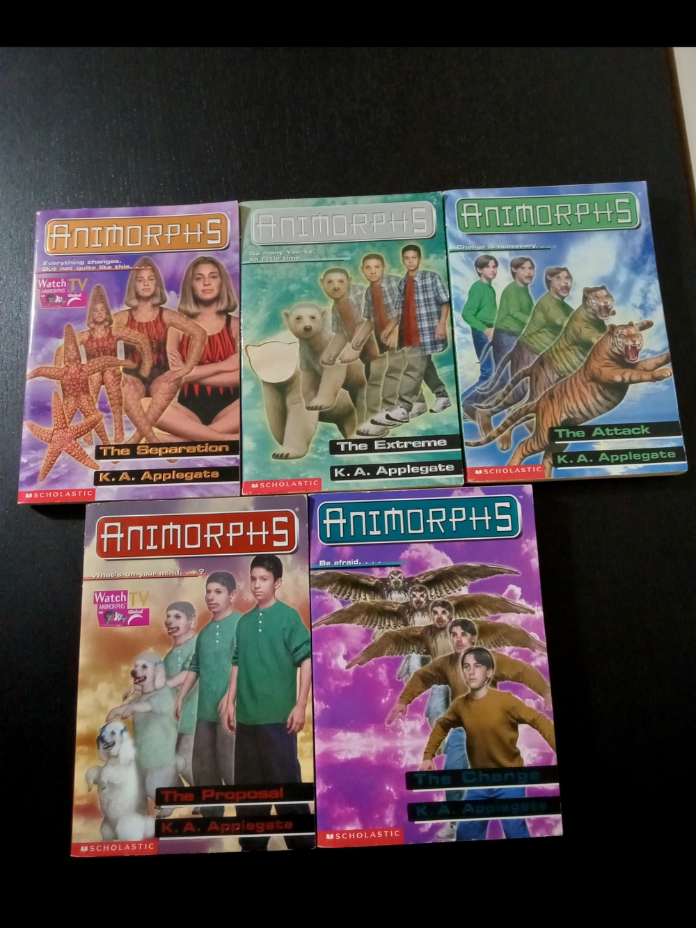 90's Animorphs Book Lot
